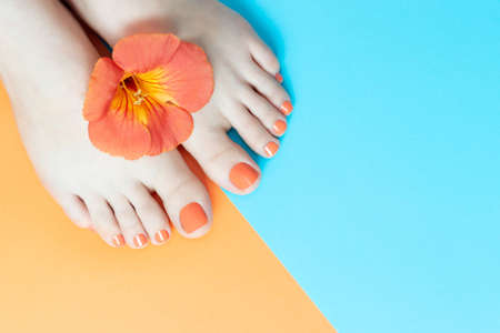Female legs with a beautiful orange pedicure with a flower on a blue and orange backgroundの写真素材