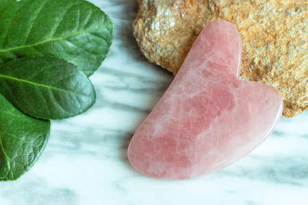 A gua sha and green plant against the marble background, view from aboveの写真素材