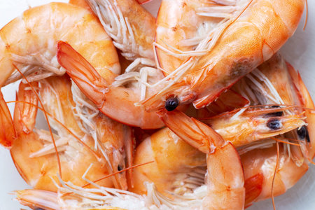Large amount of orange fresh shrimp, top view