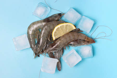 Piles of gray raw shrimp with ice on blue background, top view.の写真素材