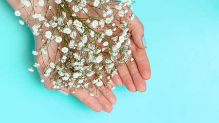 The girl holds flowers on blue background top view, copy spaceの写真素材