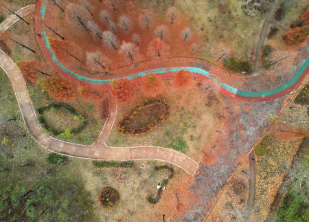 Beautiful public park and a footpaths top view, aerial photography.の写真素材