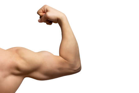 Male arm with large muscles close-up isolated on white background, rear view.の写真素材
