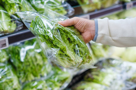 A male hand holding green lettuce leaves in a supermarket close-upの写真素材