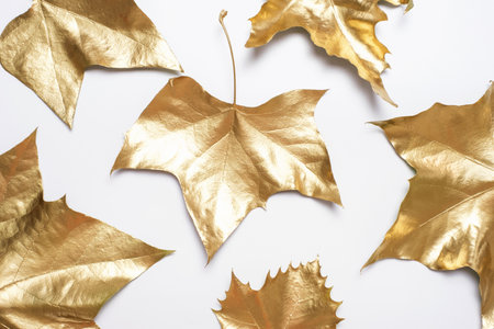 Pattern of golden maple leaves on white background close-up, top view.の写真素材