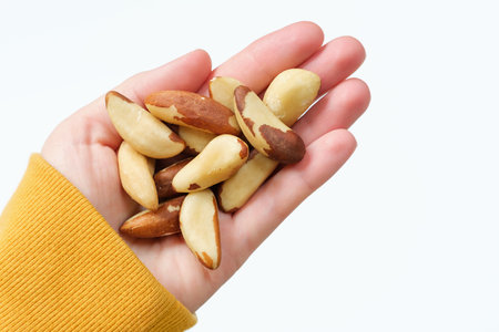 Female hand holding pile of brazil nuts close-up on a white background.の写真素材