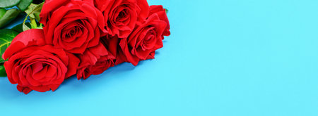 Red rose buds on blue background close-up, top view copy space.の写真素材