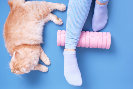 Female legs on foam roller and ginger cat on blue background top view.の写真素材
