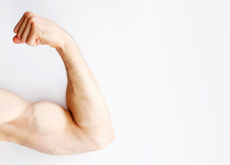 Male arm with large muscles close-up isolated on white background, front view.の写真素材