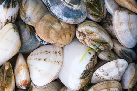 Texture of raw shellfish in water close-up.