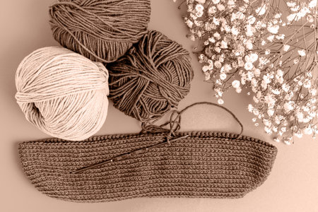 A yarn and a knitting hook in trending color of year 2025.の写真素材