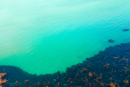 Clear turquoise ocean water and a barrier reef with algae, aerial view, natural background.の写真素材