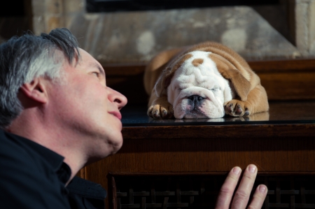Mature man owner with a dog english bulldog puppy の写真素材