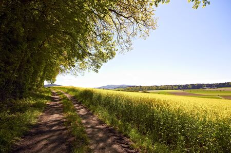 feldwegの写真素材