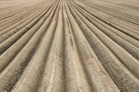 freshly plowed acreの写真素材
