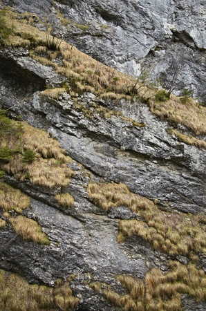 Rock wall with mossの写真素材