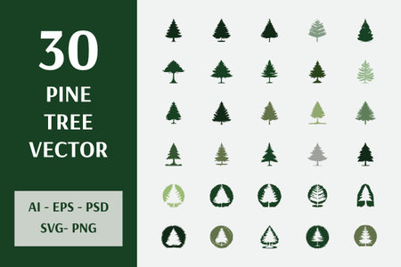 Set of vector icons of pine trees and coniferous trees.のイラスト素材