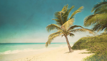 Beautiful tropical beach with coconut palm tree - vintage filter effect.の素材