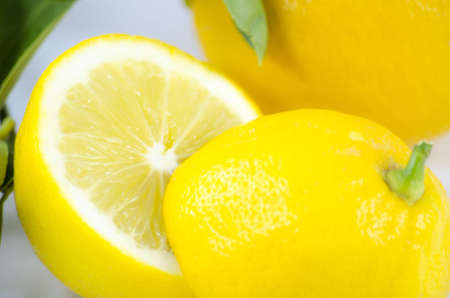 Lemonsの写真素材