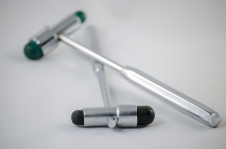 Reflex hummersの写真素材