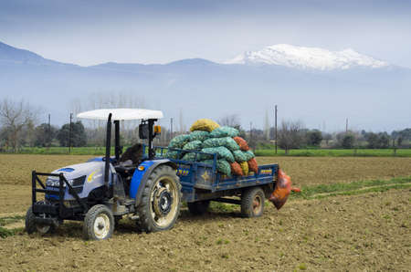 Traktorの写真素材