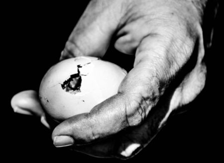 Chick breaks egg and birthの写真素材