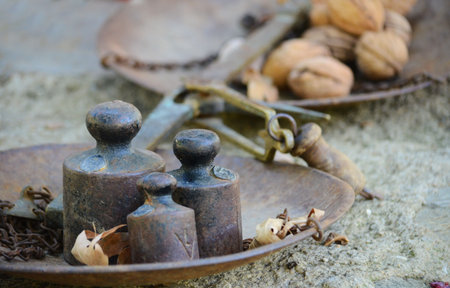 Walnut and scale