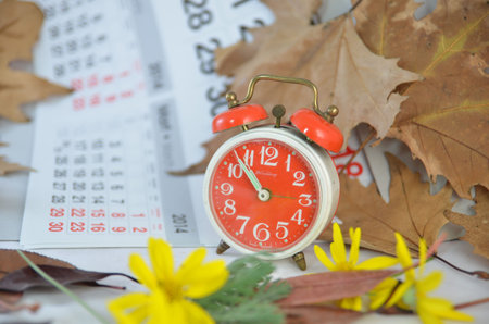 Alarm clock, calendar, dried leaves and time