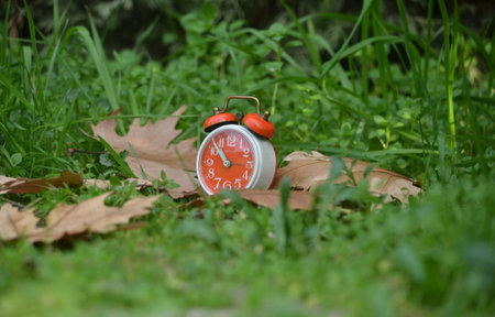 Alarm clocks on ground with dried leaves