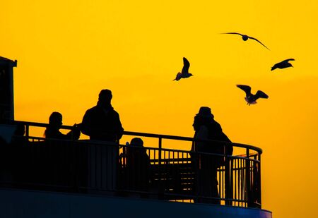 Sunset, humans and seagullsの写真素材