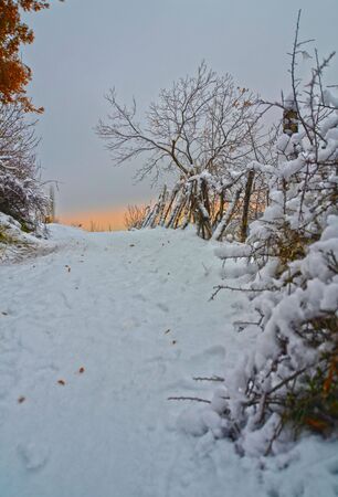 Snow and landscapeの写真素材