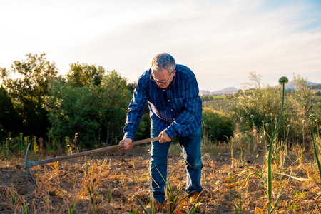 Old man in blue plaid shirt and jeans tilling the soil of his garden with a hoe