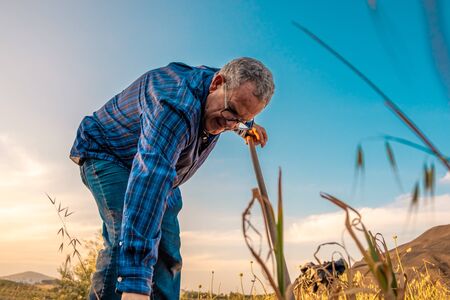 Old man in blue plaid shirt and jeans tilling the soil of his garden with a hoeの写真素材