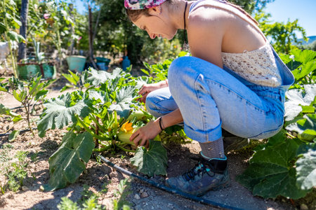 Young latin woman with dungaree and headscarf picking zucchini from the garden