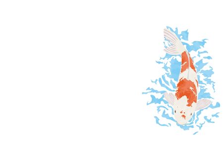 Illustration of carp swimming, no background, no lineのイラスト素材
