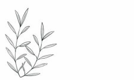 Botanical illustrations: headline decoration: leaves, veins, fruitlessのイラスト素材