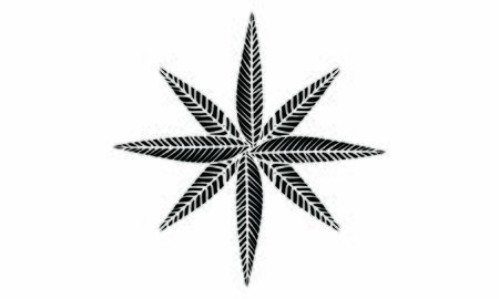 Botanical illustrations: leaves, veins, primitive imagesのイラスト素材