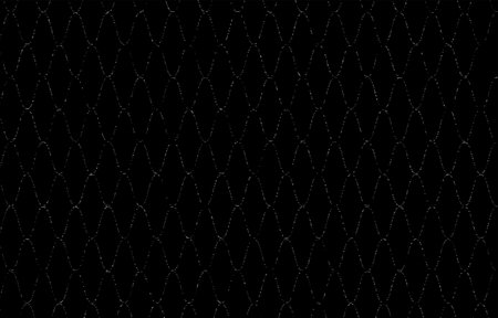 Japanese pattern with a white wilt pattern on a black background: mesh