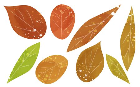 Set of autumn leaves, transparent watercolor style illustration

Vector illustrationのイラスト素材