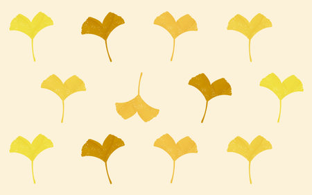 Pattern illustration of autumn leaves Ginkgo bilobaVector illustration