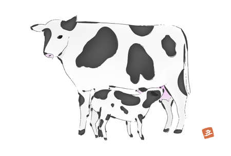 New Year's card material 2021 year of the ox: brush-drawn cow illustration - Translation: cowのイラスト素材