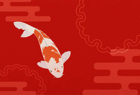 New year card illustration of red Nishikigoi  -Translation: Happy New Year, thank you for last year. Nice to meet you again this year.のイラスト素材