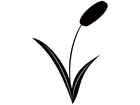 Plant leaves monochromeのイラスト素材