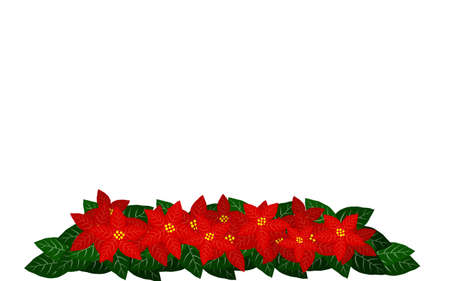 Illustration of poinsettias lined up in a rowのイラスト素材