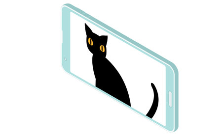 Isometric, an illustration of a cat in an online meeting
