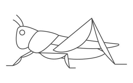 Grasshoppers, insects that can be eaten by insect foodのイラスト素材