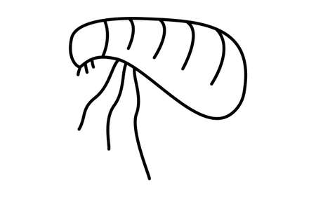 A simple icon of unpleasant pests, fleasのイラスト素材