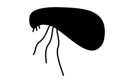 A simple icon of unpleasant pests, fleasのイラスト素材