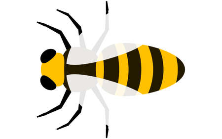 Clip art of simple honeyのイラスト素材