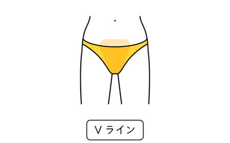 Hair Removal Illustrations for Women by Part - Translation: V lineのイラスト素材